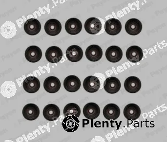 Payen HR5107 — Seal Set, valve stem