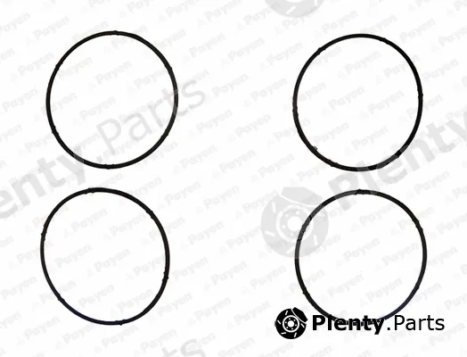 Payen JD6095 — Gasket, intake manifold