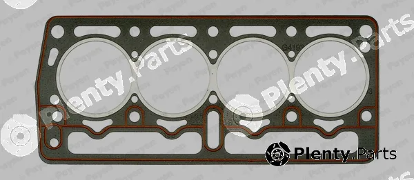 Payen AY430 — Gasket, cylinder head