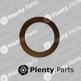 Payen KG5384 — Seal Ring, oil drain plug
