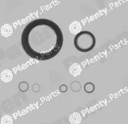Payen EG7950 — Gasket Kit, crankcase