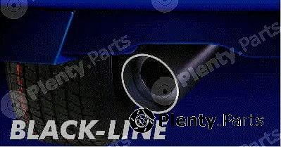 HJS 81025000 — Exhaust Tip Black Line
