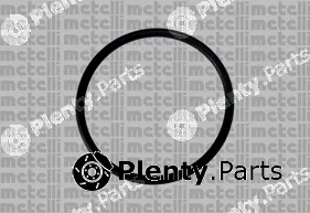 Metelli 24-0875 — Water Pump, engine cooling