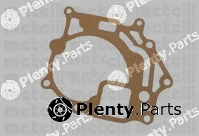 Metelli 24-0788 — Water Pump, engine cooling