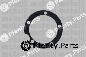 Metelli 24-0119 — Water Pump, engine cooling
