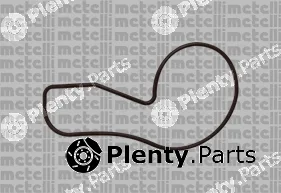 Metelli 24-0970 — Water Pump, engine cooling