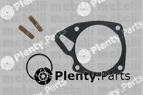 Metelli 24-0168 — Water Pump, engine cooling