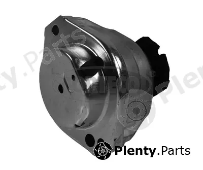 Corteco 80004415 — Mounting, engine