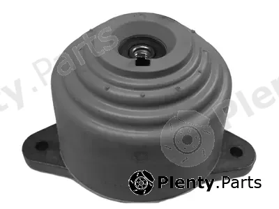 Corteco 80001069 — Mounting, engine