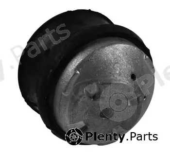 Corteco 80004241 — Mounting, engine