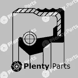 Corteco 12019585B — Shaft Seal, injector pump