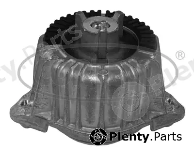 Corteco 80005163 — Mounting, engine