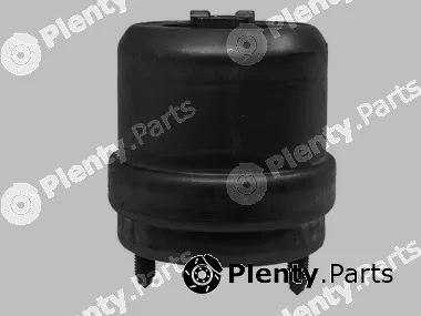 Corteco 80000891 — Mounting, engine