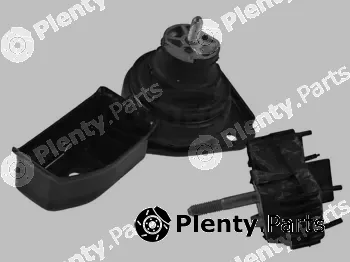 Corteco 80001848 — Mounting, engine