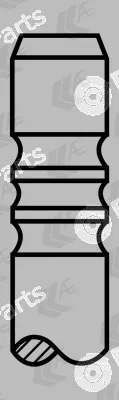 AE V91255 — Intake Valve