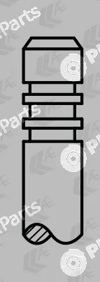 AE V95219 — Exhaust Valve