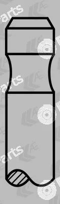 AE V90311 — Intake Valve