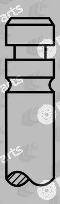 AE V91204 — Intake Valve