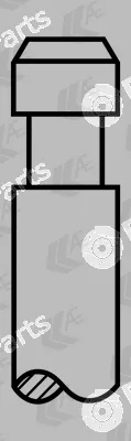 AE V34167 — Intake Valve