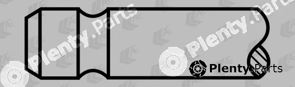 AE V95235 — Intake Valve