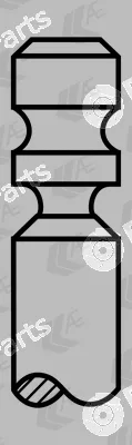 AE V34895 — Exhaust Valve
