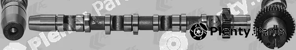 AE CAM934 — Camshaft