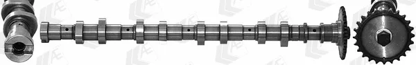 AE CAM966 — Camshaft