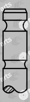 AE V91701 — Intake Valve