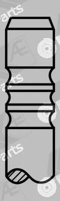 AE V95253 — Exhaust Valve
