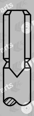 AE V94255 — Intake Valve