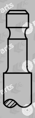 AE V91151 — Intake Valve