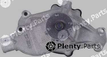 Pika 10E-1136 — Water Pump, engine cooling