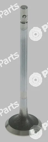 Pika 280-1703 — Exhaust Valve
