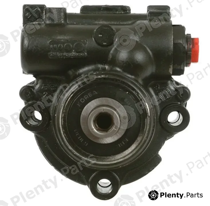 Pika 100-2519 — Hydraulic Pump, steering