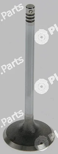Pika 280-2000 — Intake Valve