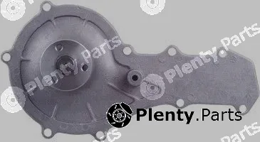 Pika 10E-1024 — Water Pump, engine cooling
