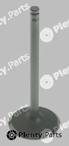 Pika 280-1150 — Intake Valve