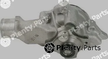Pika 10E-1022 — Water Pump, engine cooling