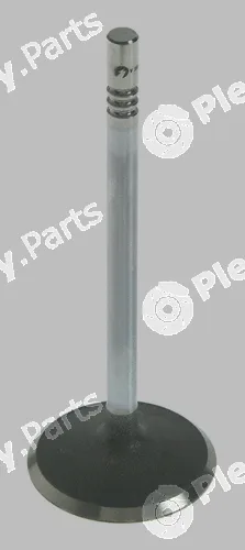 Pika 280-2033 — Intake Valve