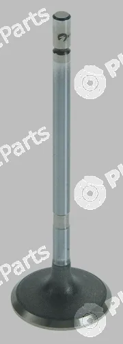 Pika 280-1702 — Intake Valve