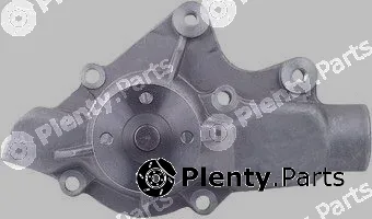 Pika 10E-1020 — Water Pump, engine cooling