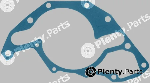 Pika 151-1339 — Gasket, water pump Wasserpumpendichtung