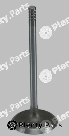 Pika 280-2079 — Intake Valve