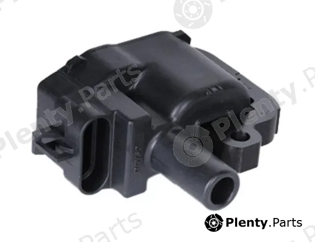 Pika 102-1194 — Ignition Coil Zündspule Zündung
