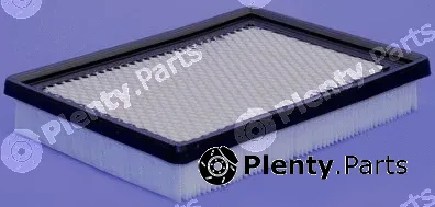 Pika 257-1121 — Air Filter