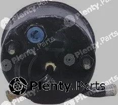 Pika 100-1840 — Hydraulic Pump, steering