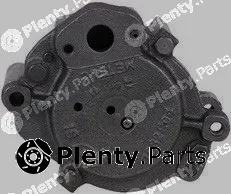 Pika 100-1057 — Secondary Air Pump Smog-air Pumpe