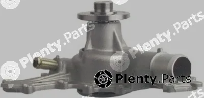 Pika 10E-1160 — Water Pump, engine cooling