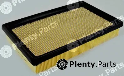 Pika 257-1229 — Air Filter