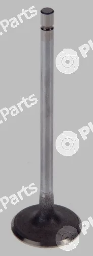 Pika 280-1716 — Intake Valve